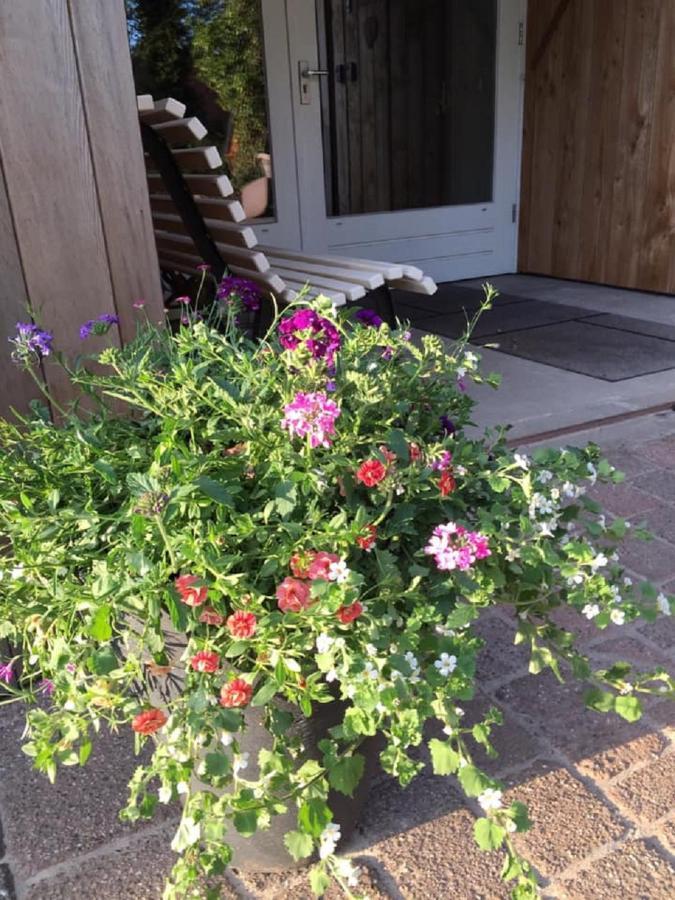 Erve Toon'Boer Bed & Breakfast Mander Exterior photo